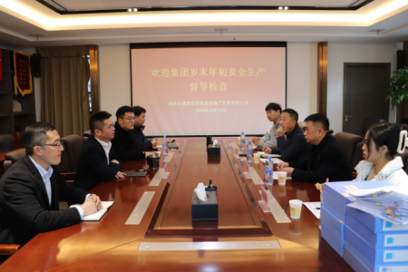 集团安管部一行赴尊龙抖圈官网地产公司开展 岁末年头清静生产督导检查